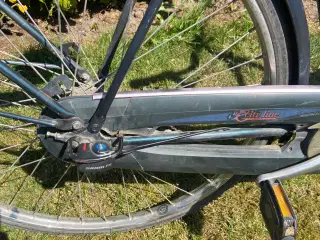Batavus Lugano