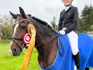 Super børnepony/ lærepony