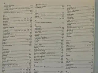 haven 1986 86. årgang, red. af søren ryge petersen