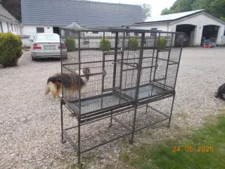 bur