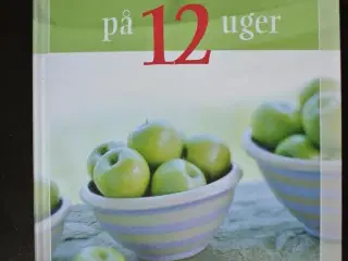 få et selvhelbredende liv på 12 uger, af sanna ehd