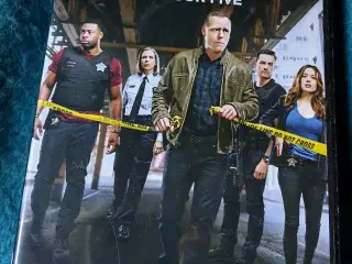 Chicago P.D. Sæson 5