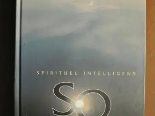 spirituel intelligens - den ultimative intelligens