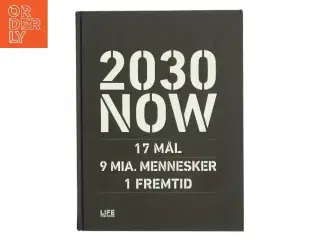 2030 NOW af Susanne Sayers (Bog)