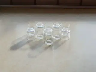 GRATIS Snapseglas 11stk 25ml