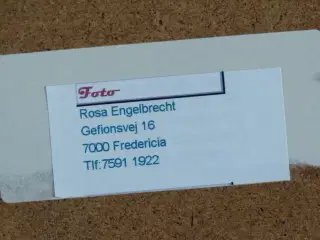 Kunstfotografi af Rosa Engelbrecht