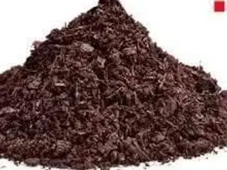 Søger hestemøg 9460