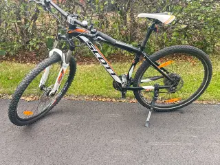 Scott 30 Gear 43 cm 