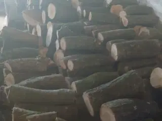 brænde