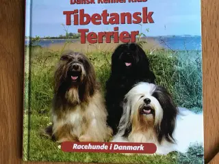 Tibetansk Terrier