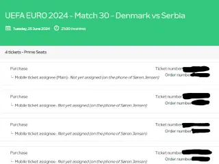 UEFA EURO 2024 - Danmark vs Serbien