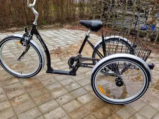 Senior cykel 