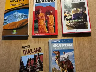 Rejsebøger og kort.