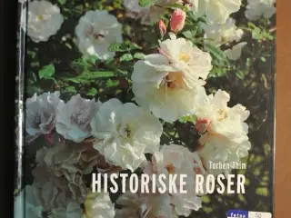 historiske roser, af torben thim, emne: hus og hav