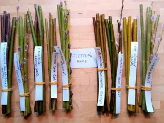 Julegaveidé til den fletteinteresserede....