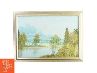 Maleri i ramme natur billede  Ukendt (str. LB:62,5x46cm)
