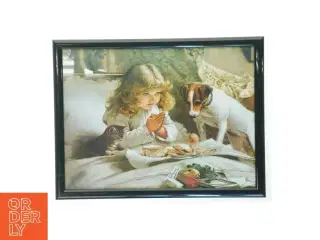 Indrammet billede (str. 43 x 33 cm)