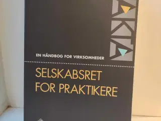 Selskabsskat for Praktikere, Finansiel Bog 