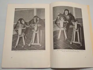 K.E.Hermann: Historien om Lone og Lasse. 1955