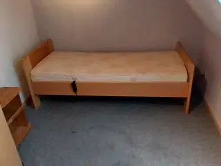 Elevationsseng