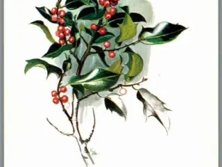 Illa - Glædelig Jul - 151 Doo 301 - Postkort - Brugt