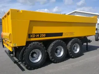 Randex XDH 250