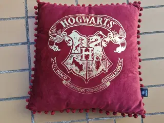 Hogwarts Pude Harry Potter