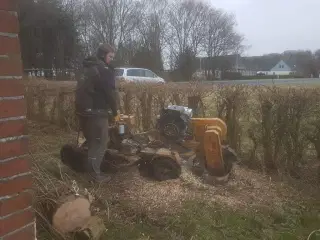 Stubfræsning tilbydes