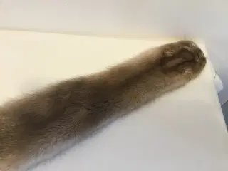 Minkskind 