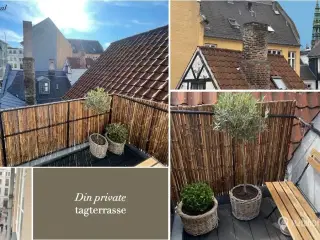 Eksklusiv kontor i Grønnegade KBH K på 135 m2 til kun 90.- kr. pr. time