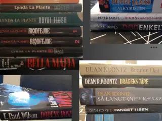  Dean Koontz Gys Thriller Bøger