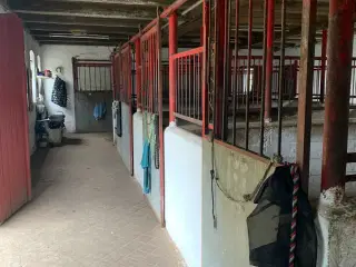 Opstaldning tilbydes i bogense