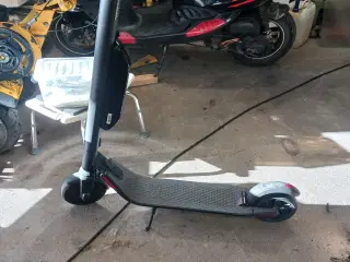 El løbehjul Segway Ninebot
