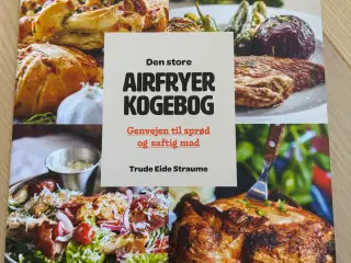 Ny Den Store Airfryer Kogebog