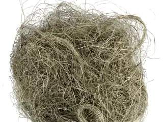 Sisal, støvet grøn, 8g/ 1 pk.