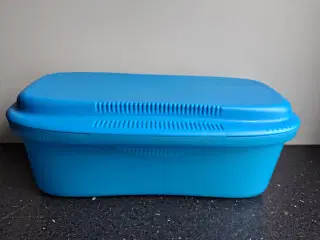 Tupperware Pastakoger