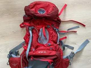 Osprey Ariel 65 liter - Dame - Rød