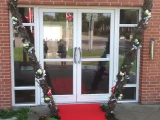 Æresport