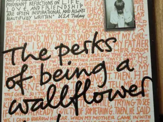 Stephen Chbosky, The Perks Of Being A Wallflower.