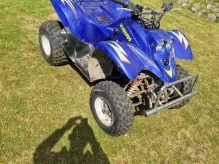 250ccm ATV