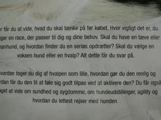 at få hund - hundeejerens første håndbog, af ulla 