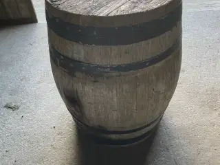 Vin tønde egetræ