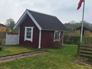 Kolonihave I Hedvigslund Haveforening 