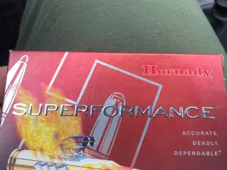 Hornady superpermance 30.06