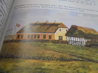 Den danske revolution 1830-1866 – meget fin stand 