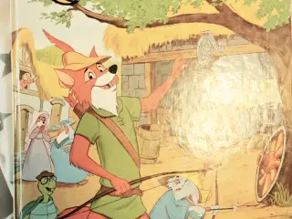 Bog Robin Hood 