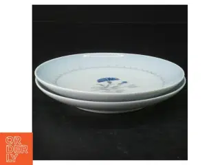 Dementer blå kornblomst Porcelænsmiddagstallerkener fra B&G (str. Ø. 16 cm)