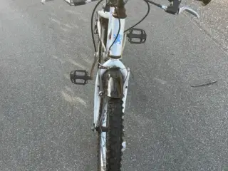 Pige cykel 