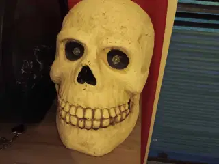 skelethoved 