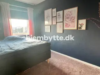 Hjembytte - SognegårdsAlle